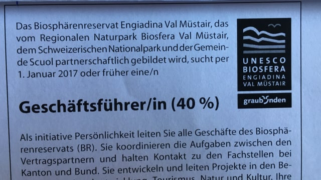 inserat inserat