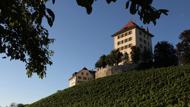 Schloss Heidegg im Luzerner Seetal. Schloss Heidegg im Luzerner Seetal.