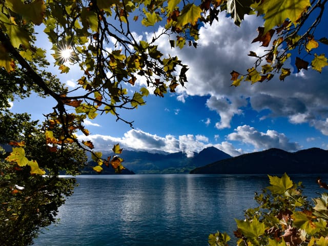 Blick zwichen den Bäumen auf den See. Der Himmel ist blau mit ein paar weissgrauen Wolken.