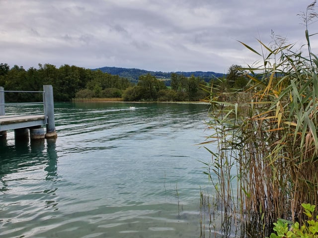 Grauer Himmel über dem Hallwilersee.