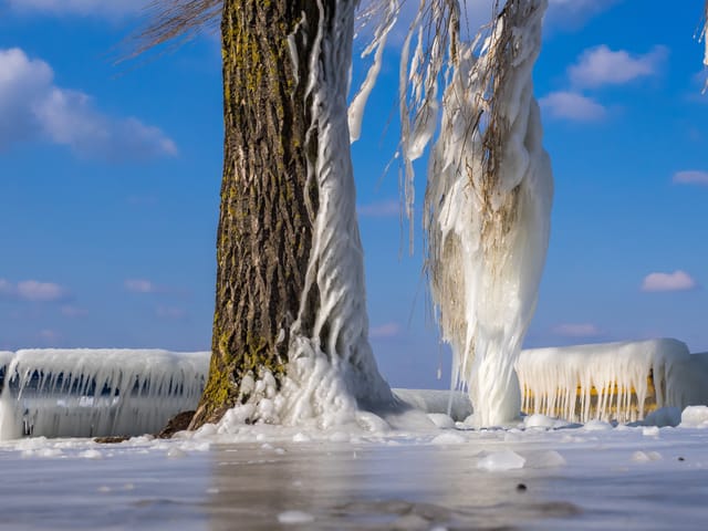 Eisüberzug.