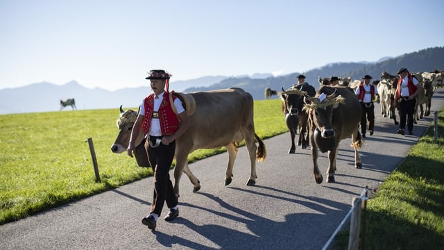 Alpaufzug zur Viehschau Alpaufzug zur Viehschau