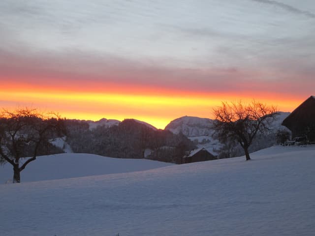 In Blickrichtung Voralpen sieht man über den Berggipfeln ein schönes Morgenrot. Es hat einen feinen Wolkenschleier am Himmel. Im Vordergrund ist ein verschneiter Hang mit zwei Bäumen und einer Schäune.