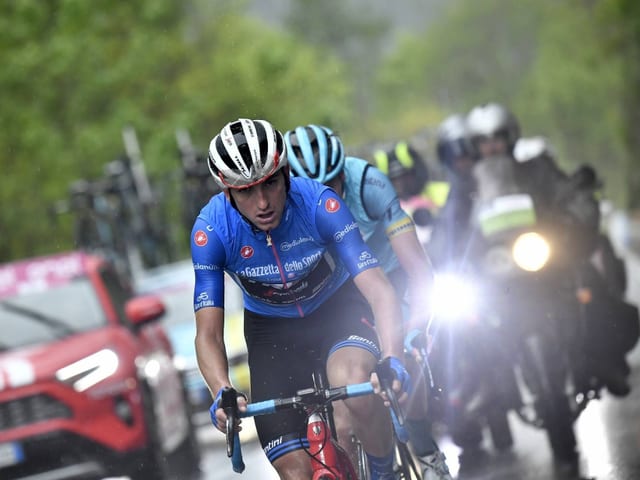 Radfahrer Radfahrer