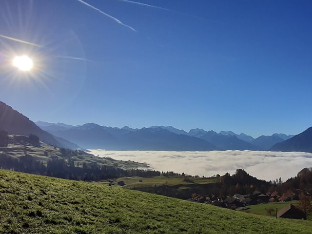 Blick über grüne Wiesen auf das Nebelmeer, darüber ein wolkenloser Himmel.