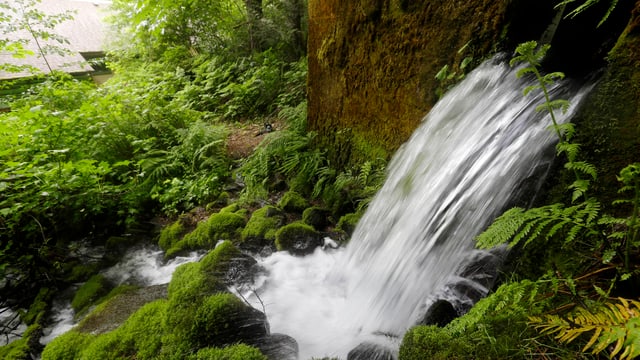 Wasser tritt aus dem Boden. Wasser tritt aus dem Boden.