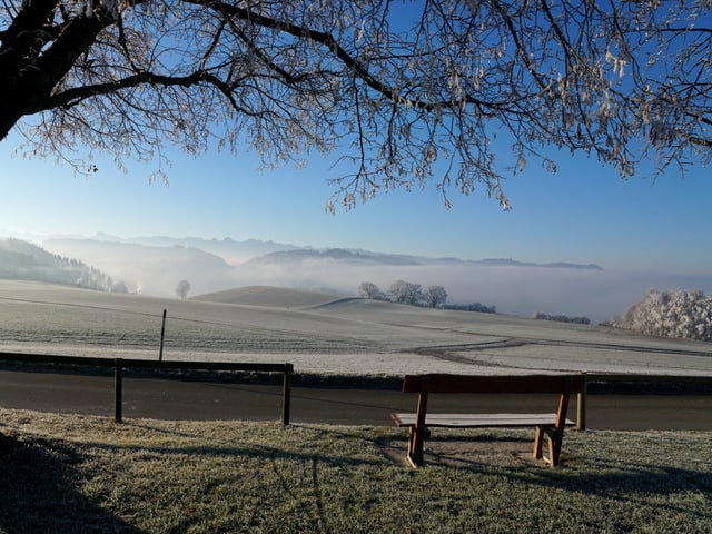 Während es unten dichten Nebel hat, bietet sich etwas erhöht eine wunderbare Aussicht.