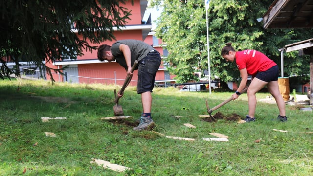 Rasenfläche wird abgetragen Rasenfläche wird abgetragen