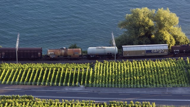 Güterzug fährt am Genferseeufer entlang Güterzug fährt am Genferseeufer entlang