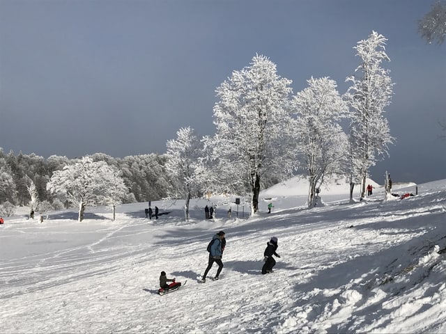 Märchenlandschaft auf dem Weissenstein