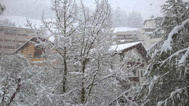 Am 20. Mai schneite es wieder. Für St. Moritz allerdings nicht so aussergewöhnlich. Am 20. Mai schneite es wieder. Für St. Moritz allerdings nicht so aussergewöhnlich.