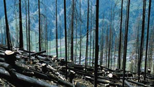 Il fieu en Val Müstair dal fenadur 1983. Il fieu en Val Müstair dal fenadur 1983.