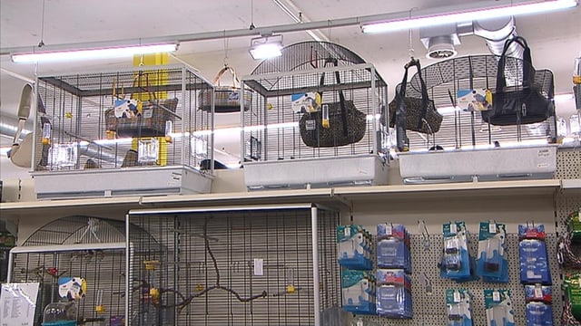 Nicht alle Tierkäfige im Angebot sind für die Haltung Zuhause erlaubt Nicht alle Tierkäfige im Angebot sind für die Haltung Zuhause erlaubt