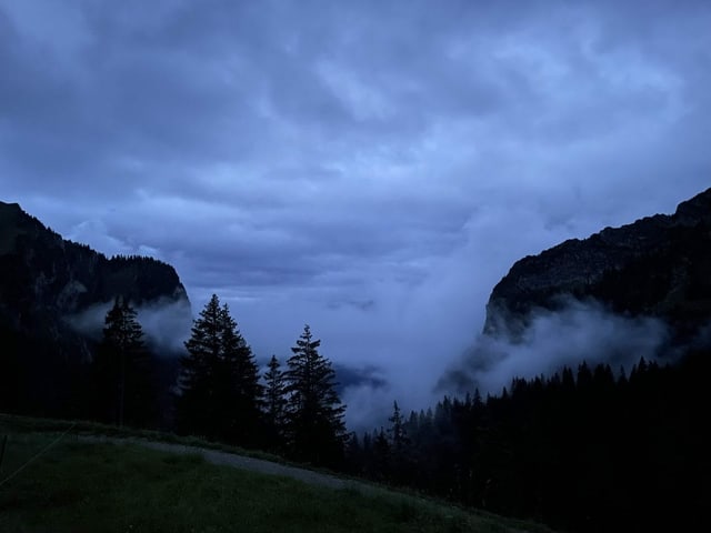 Nebelschwaden schmiegen sich an den Hang: Auf der Alp Morgeten im Berner Simmental bricht ein neuer Tag an.