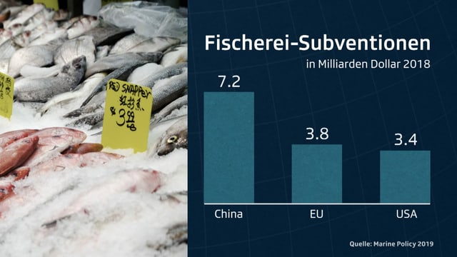 China, die EU und die USA subventionieren die Fischerei am stärksten. Weltweit fliessen rund 35 Milliarden Dollar Subventionen in die Fischerei. China, die EU und die USA subventionieren die Fischerei am stärksten. Weltweit fliessen rund 35 Milliarden Dollar Subventionen in die Fischerei.
