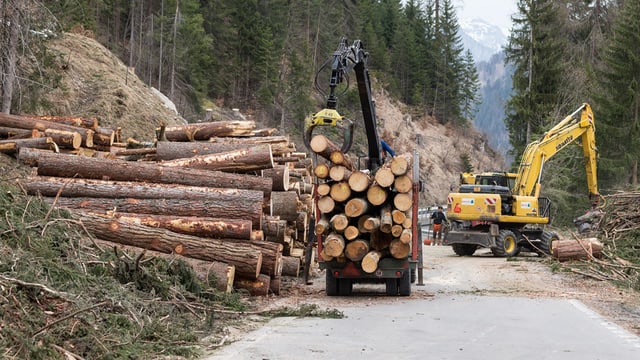 Lastwagen lädt Holz auf. Lastwagen lädt Holz auf.