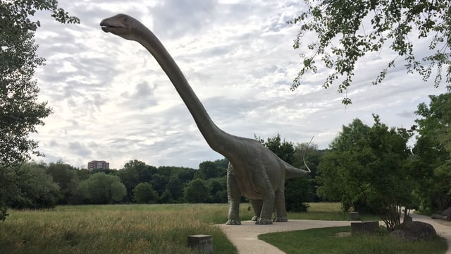 Dinosaurier in der Grün 80. Dinosaurier in der Grün 80.