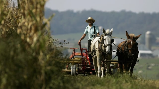 ein Mann pflügt ein Feld in einem Pferdewagen ein Mann pflügt ein Feld in einem Pferdewagen
