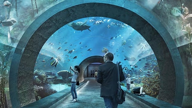 Im geplanten Ozeanium spazieren die Besucher durch einen Tunnel mitten durch das Aquarium. Im geplanten Ozeanium spazieren die Besucher durch einen Tunnel mitten durch das Aquarium.