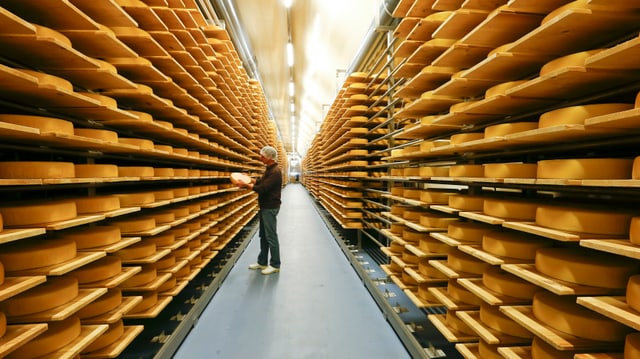 Käse im Gotthard-Stollen. Käse im Gotthard-Stollen.