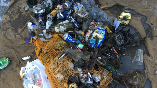 Bierdosen, Flaschen, Plastiknetze liegen am Ufer des Zürichsees Bierdosen, Flaschen, Plastiknetze liegen am Ufer des Zürichsees