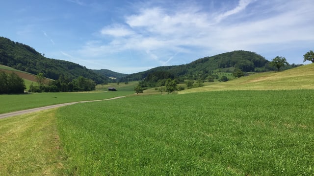 Feld, Wiesen und Wald. Feld, Wiesen und Wald.