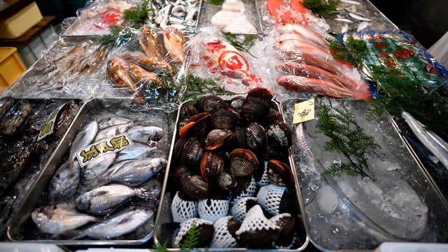 Auslage mit Fisch und Muscheln am Tsukiji-Markt Auslage mit Fisch und Muscheln am Tsukiji-Markt