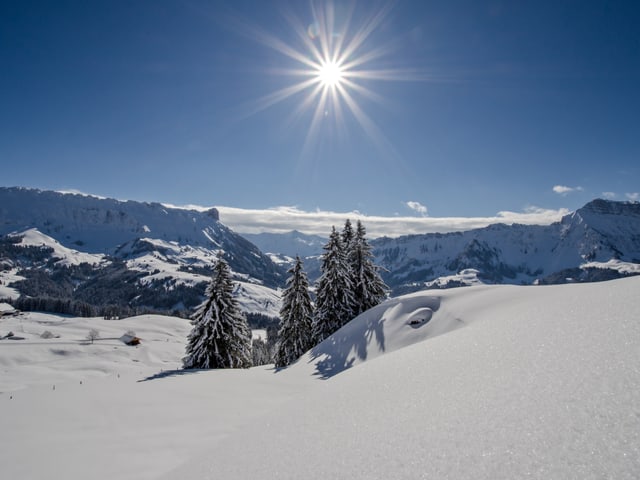 Schneelandschaft.