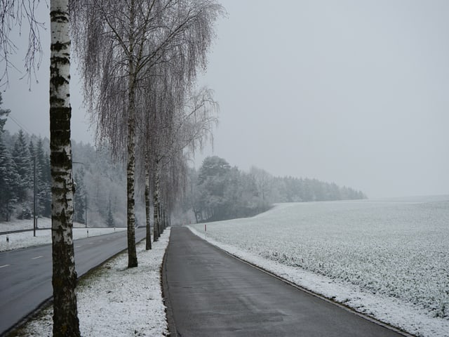 Baumalle, Nebel.