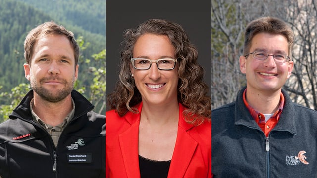 Porträts von Daniel Eberhard, Antonia Eisenhut und Stefan Triebs (von links). Porträts von Daniel Eberhard, Antonia Eisenhut und Stefan Triebs (von links).