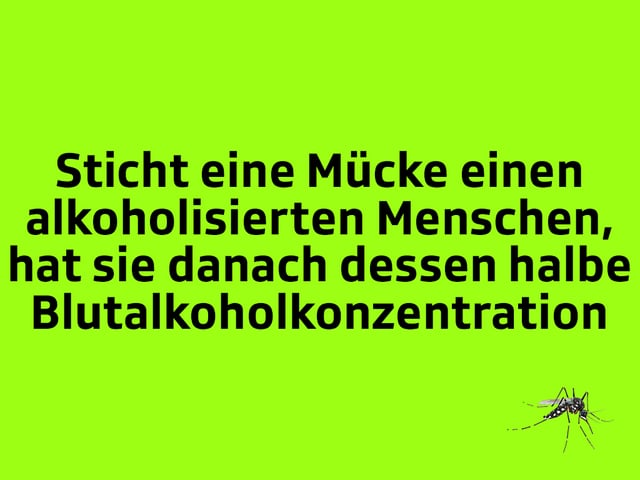 Texttafel: Sticht eine Mücke einen alkoholisierten Menschen, hat sie danach dessen halbe Blutalkoholkonzentration