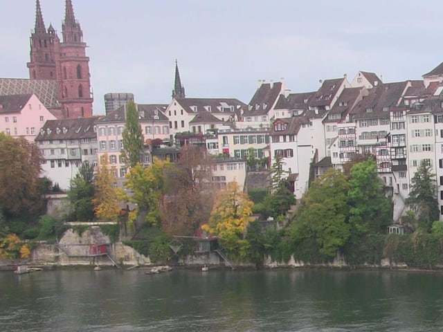 Rhein, ein paar verfärbte Bäume, Häuserzeilen