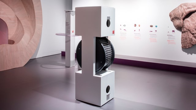 Ein Kasten. Zirka 2 Meter hoch, mit 2 Resonanzkörpern oben und unten, bespannt mit 6 Gitarren-Saiten von oben nach unten. Zwischen den Resonanzkörpern liegt eine grosse, drehbare Rolle, die man von Hand in Rotation versetzt. Ein Kasten. Zirka 2 Meter hoch, mit 2 Resonanzkörpern oben und unten, bespannt mit 6 Gitarren-Saiten von oben nach unten. Zwischen den Resonanzkörpern liegt eine grosse, drehbare Rolle, die man von Hand in Rotation versetzt.