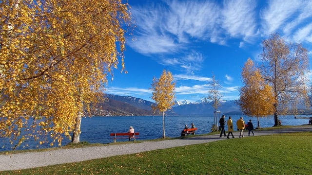 Man nehme Schleierwolken, blauer Himmel, blaues Wasser und ein Schuss Okerfarbe und fertig ist dass goldene Herbstfoto. Man nehme Schleierwolken, blauer Himmel, blaues Wasser und ein Schuss Okerfarbe und fertig ist dass goldene Herbstfoto.