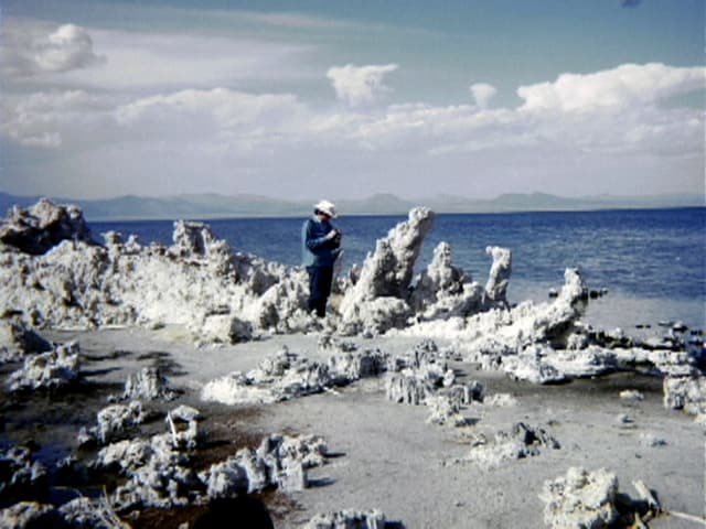 Am Ufer eines Salzsees wachsen Salzfiguren in Menschengrösse empor. Am Ufer eines Salzsees wachsen Salzfiguren in Menschengrösse empor.