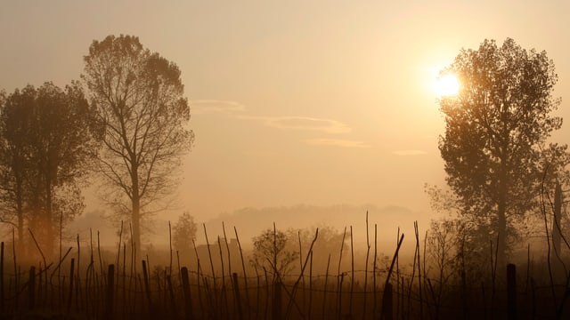 Ackerland in der Morgendämmerung in der Nähe von Sofia Ackerland in der Morgendämmerung in der Nähe von Sofia