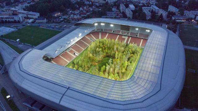 Das Bild eines Stadions, in dem innendrin Bäume gepflanzt wurden. Das Bild eines Stadions, in dem innendrin Bäume gepflanzt wurden.