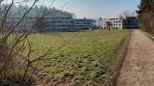 Eine grosse Wiese und Wohnblöcke rund herum. Eine grosse Wiese und Wohnblöcke rund herum.