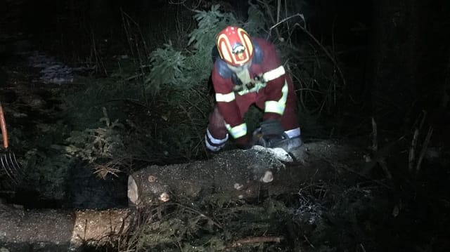 Feuerwehrmann zersägt Baumstamm mit Motorsäge Feuerwehrmann zersägt Baumstamm mit Motorsäge