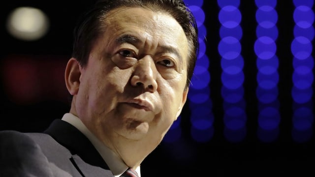 Meng Hongwei Meng Hongwei