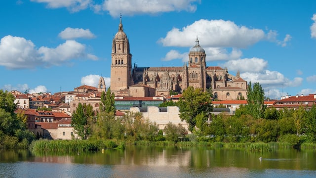 Eine Kathedrale an einem Fluss. Eine Kathedrale an einem Fluss.