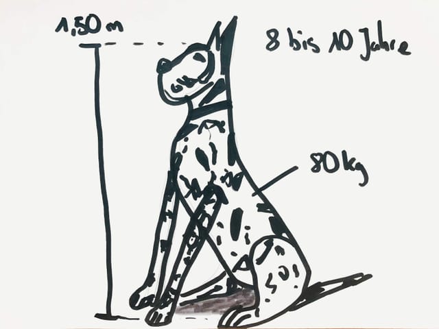 Zeichnung von Dogge Apollo Zeichnung von Dogge Apollo