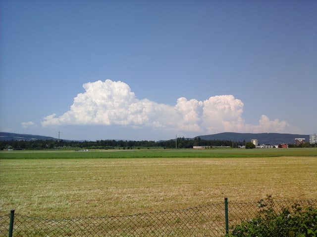 Quellwolken über Feld