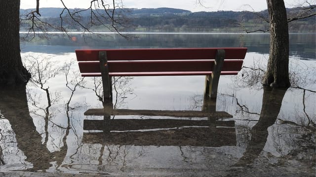 Aussichtsbank steht am Greifensee unter Wasser. Aussichtsbank steht am Greifensee unter Wasser.