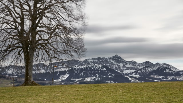 Dichte Wolken ziehen über das Alpsteinmassiv hinweg. Dichte Wolken ziehen über das Alpsteinmassiv hinweg.