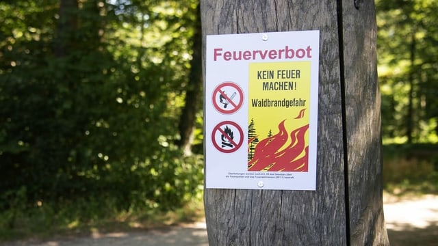 Schild Feuerverbot Schild Feuerverbot