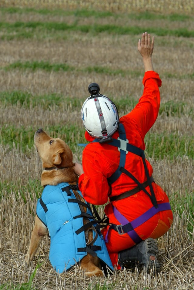 Ein Suchhund mit einer Retterin. Ein Suchhund mit einer Retterin.