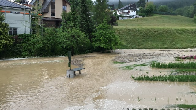 Der aufgestaute Laubisbach. Der aufgestaute Laubisbach.