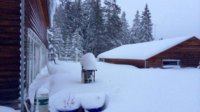 Eine weisse Lenzerheide