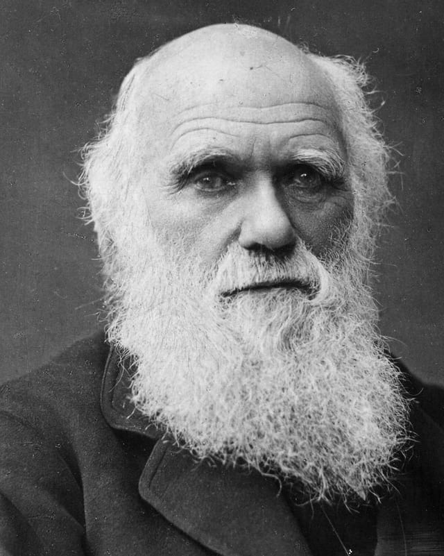 Ein schwarz-weiss Porträt von Chales Darwin. Mit langem, weissen Bart. Ein schwarz-weiss Porträt von Chales Darwin. Mit langem, weissen Bart.